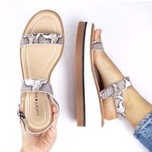 NIB Lucky Brand Womens Tamri Buckle Wedge Snake Print Sandals Sz 8